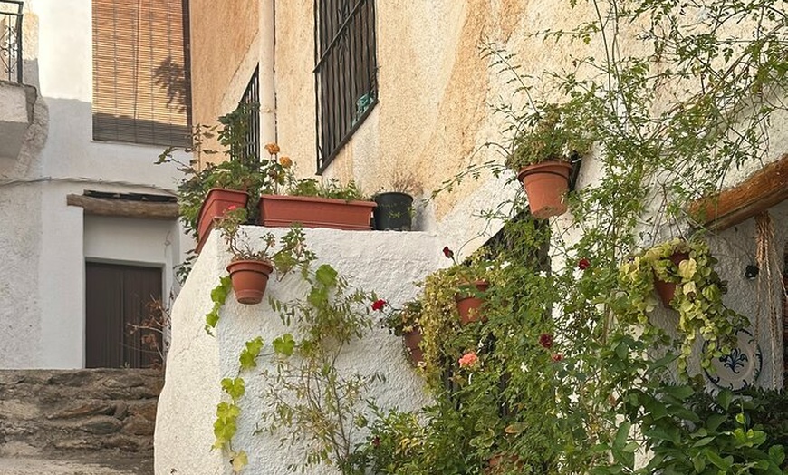 Image 2: Excursión Privada de Día Completo a las Alpujarras desde Granada