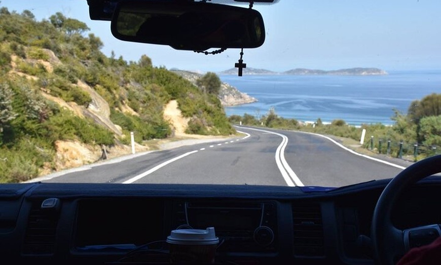 Image 13: Melbourne: Private Wilson Promontory National Park Day Tours