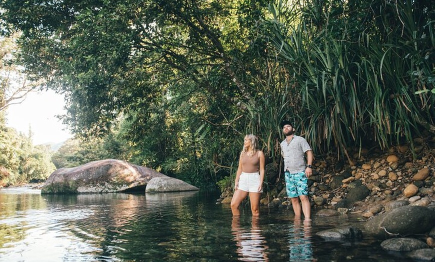 Image 3: Shore Excursion: Josephine Falls Half Day Adventure