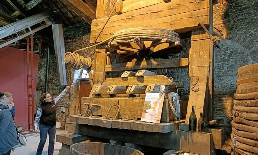 Image 4: Visite gourmande du Beaujolais en petit groupe