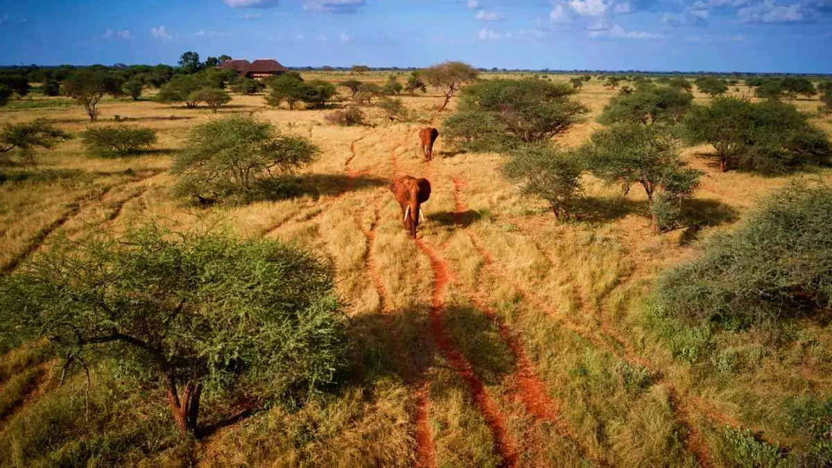 ✈ KENYA | Mombasa - Entre safari et détente balnéaire au Kenya 4*, 8 nuit - Circuit - Primary Image