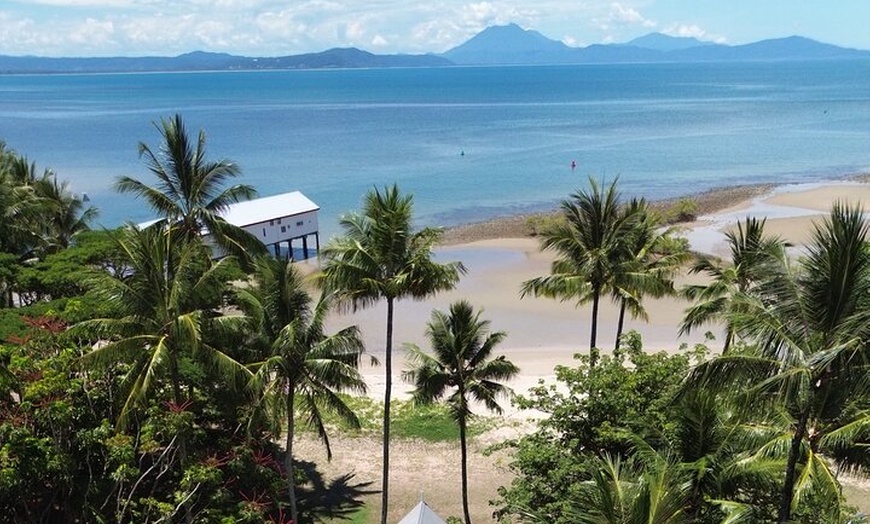 Image 3: Private Guided Tour in Port Douglas and Surrounds