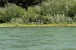 Private Scenic Snake River Float - Grand Teton Nat'l Park - Second Medium