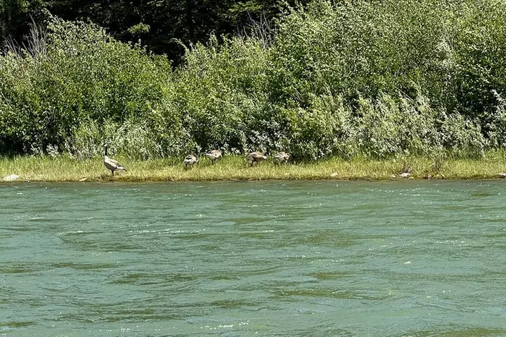 Scenic Float Trip on the Snake River in Grand Teton National Park - Second Medium