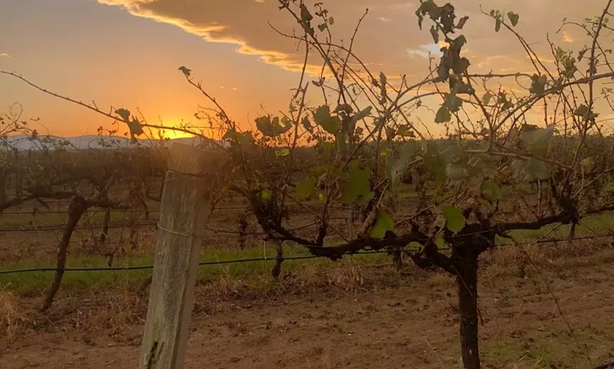 Image 4: Sydney Hunter Valley Boutique 4WD Tour with Lunch and Sunset