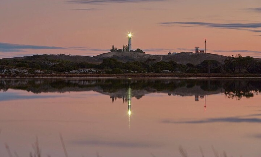 Image 4: Rottnest Island Seals Sunset and West End Bus Tour