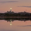 Image 4: Rottnest Island Seals Sunset and West End Bus Tour