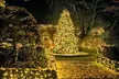 Holiday Lights at Filoli - Second Medium