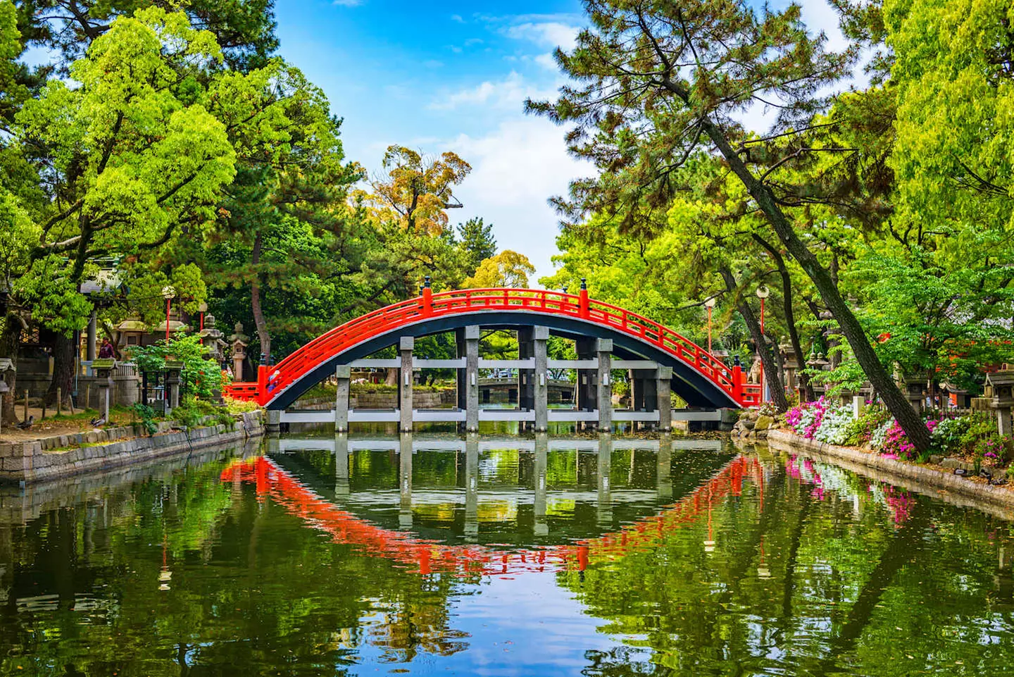 ✈ GIAPPONE | Da Tokyo a Osaka - Paradiso Giapponese: Tokyo, Kyoto, ...