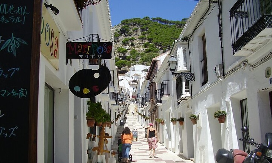 Image 2: Excursión privada de un día a Las Mijas desde Málaga