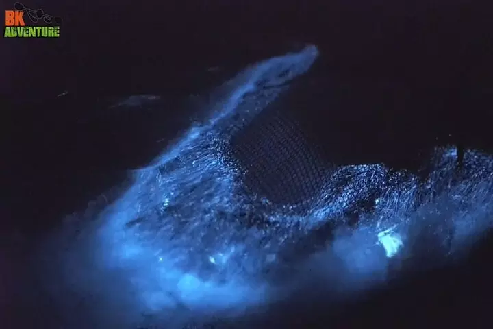 Cocoa Beach Clear Kayaking Bioluminescent Night Tour - Second Medium