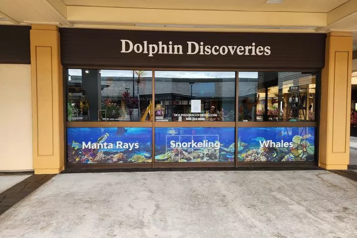 Manta Ray Night Snorkel at Kona, Big Island