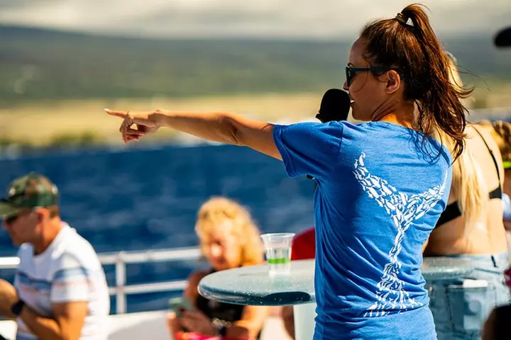 Whale Watch Excursion from the Big Island