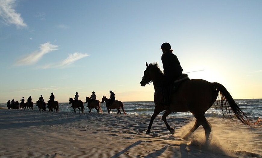 Image 1: Excursión a caballo cerca de la playa en la bahía de Alcúdia