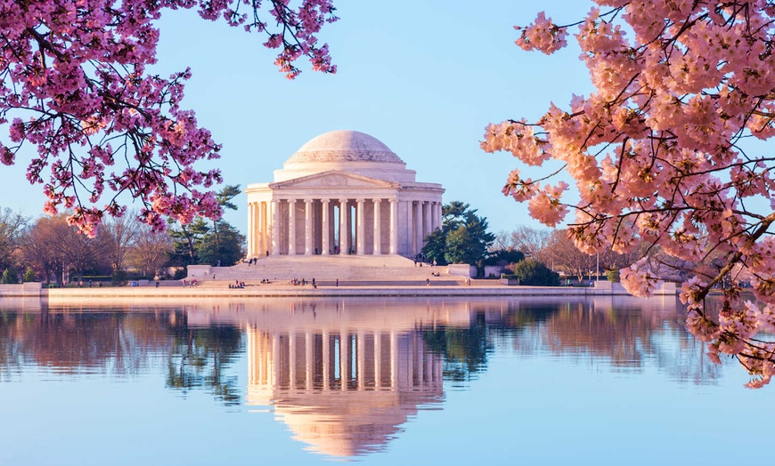 Image 3: ✈ STATI UNITI | Da Washington a Boston - Roadtrip alla Scoperta del...