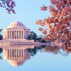Image 3: ✈ STATI UNITI | Da Washington a Boston - Viaggio on the road alla s...