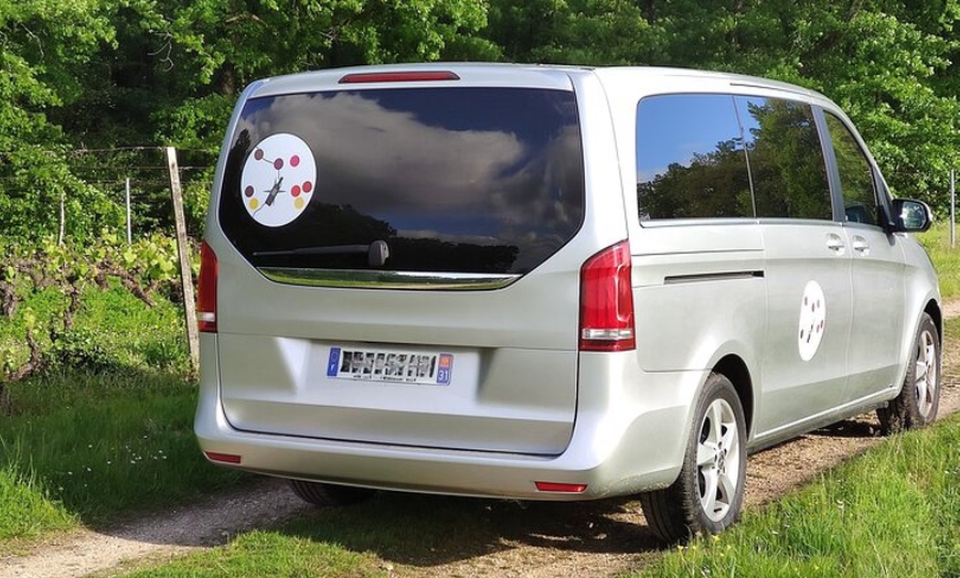 Image 4: Fronton Escapade Viticole en Petit Groupe Départ Toulouse
