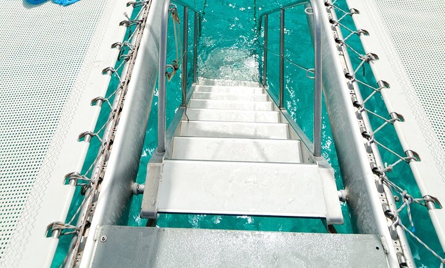Image 15: Excursión desde Ibiza a Playa de Illetas en Catamarán con Comida