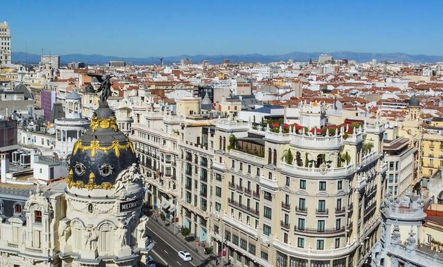 Image 3: Excursión privada de día completo por Madrid y Segovia con guías