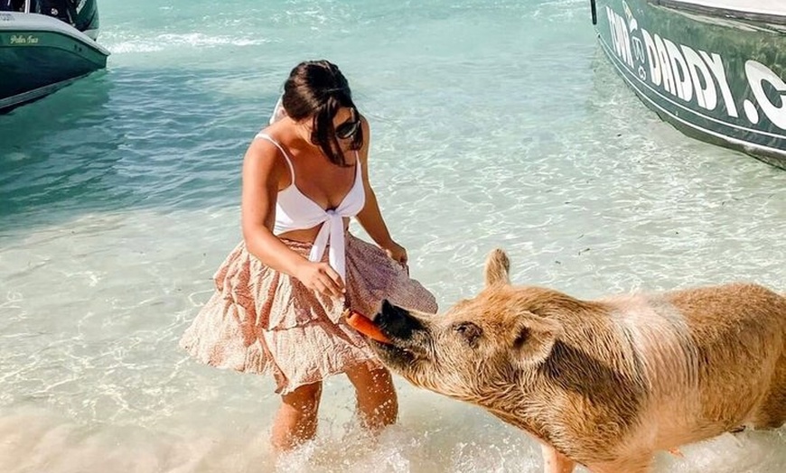 Image 7: Ultimate Exuma Cays Experience: Full-Day Group Tour from Nassau