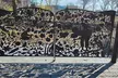 Unexpected Wall Street Walking Tour - Second Medium