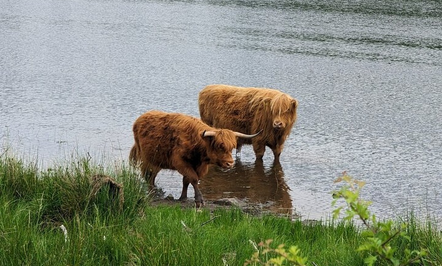 Image 14: 2 Day Private Tour of Mull, Iona and the Scottish Highlands