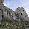Image 10: Open Group Guided Tour of Conwy Castle with an Official Guide