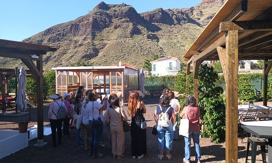 Image 14: Explora el Café de Gran Canaria en Finca Los Castaños