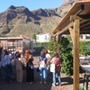 Image 14: Explora el Café de Gran Canaria en Finca Los Castaños