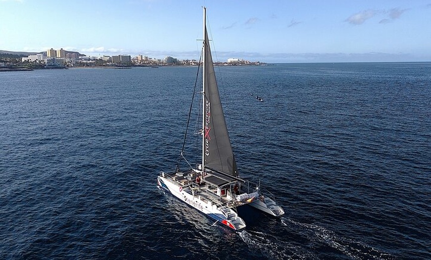 Image 4: Tour Eco-Catalán con degustación de comida