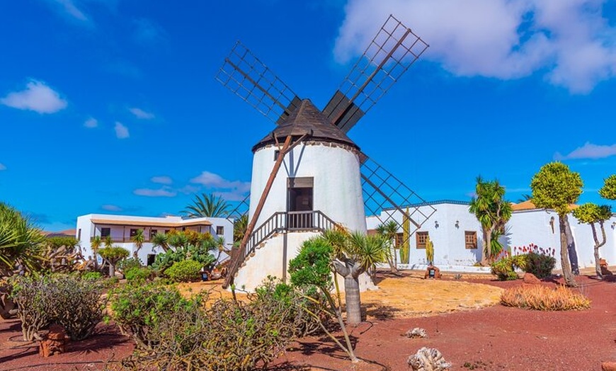 Image 6: Contraste de Fuerteventura con ferry opcional a Isla de Lobos