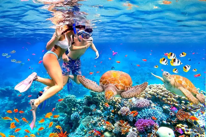 Waikiki Catamaran Escape: Snorkel with Turtles & Water Sports Fun - Primary Image