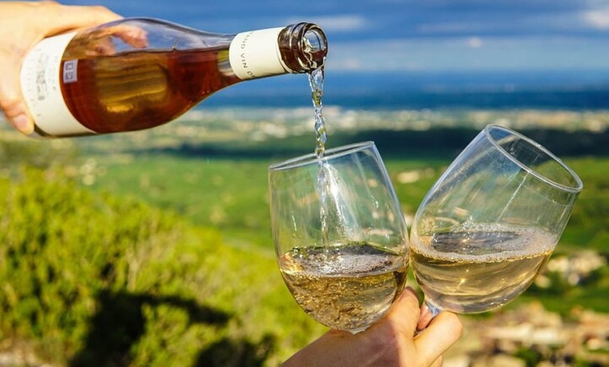 Image 1: Visite privée de dégustation de vins à Chablis Bourgogne au départ ...