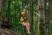 Tree Tops Zip Line Canopy Tour - Second Medium