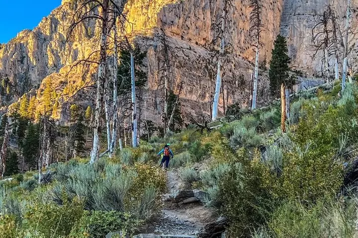 Mount Charleston Tour from Las Vegas