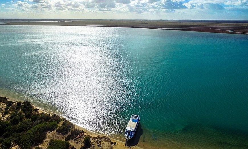 Image 7: Coorong 3.5-Hour Discovery Cruise