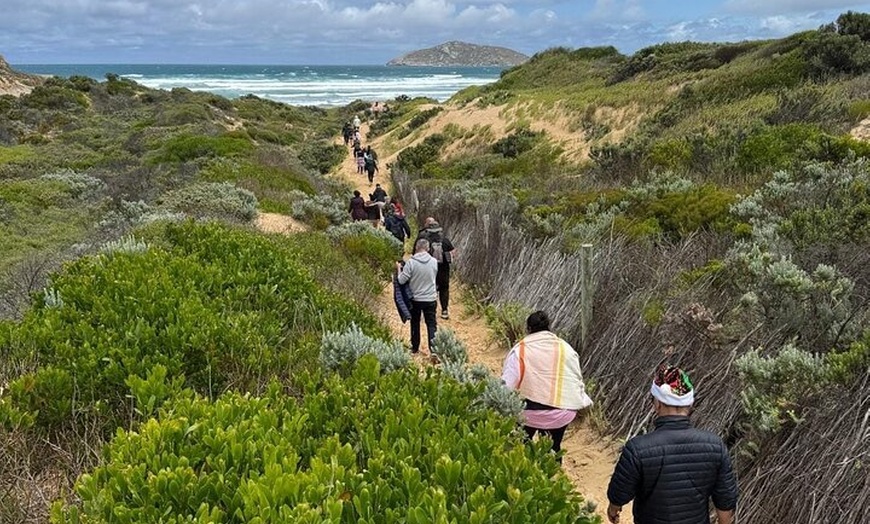 Image 8: Melbourne: Private Wilson Promontory National Park Day Tours