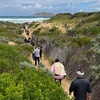 Image 8: Melbourne: Private Wilson Promontory National Park Day Tours
