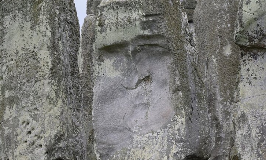 Image 3: Private Taxi Tour to Stonehenge and Sailsbury