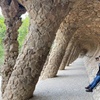 Image 4: Visita guiada a Park Guell