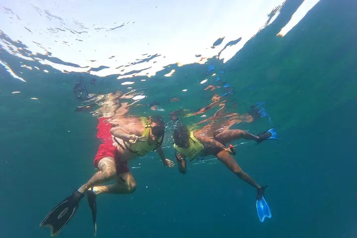 Public Guided Snorkel Tour of Fort Lauderdale Reefs