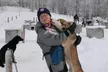 Dog Sledding and Mushing with 4X Iditarod Champ - Second Medium