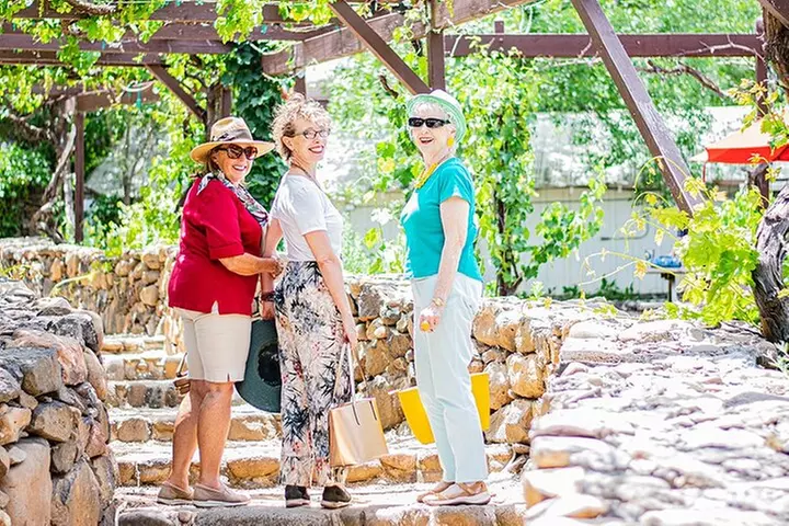 Arizona Winery All-Inclusive Tour with Lunch & Tastings