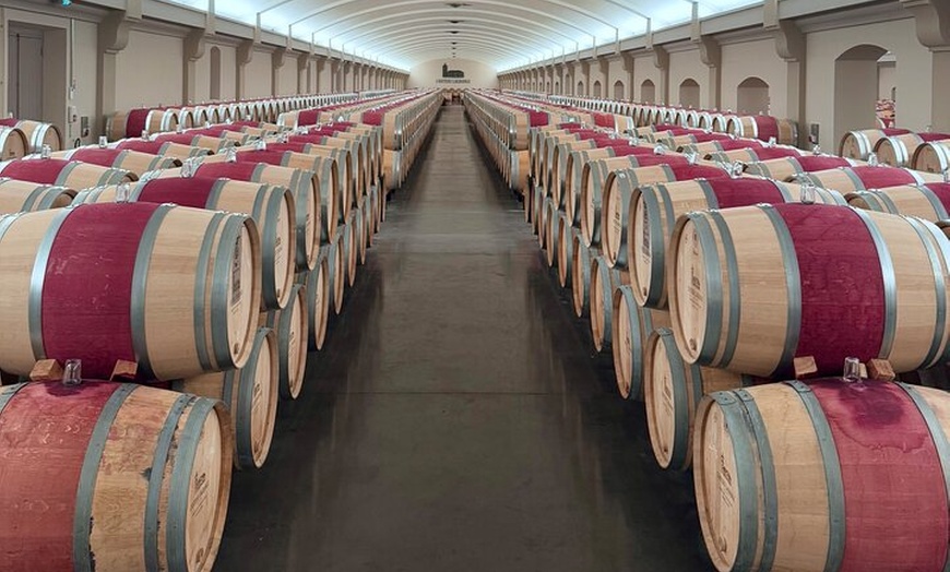 Image 8: Visite Privée Power Trio : St Julien, Pauillac & St Estèphe