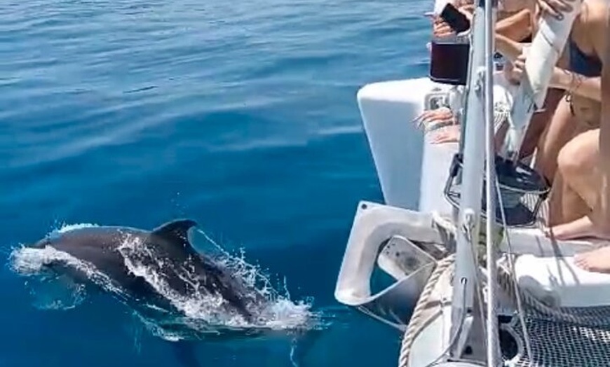 Image 10: Alquiler de Catamarán Privado de 12 Plazas en Benalmádena