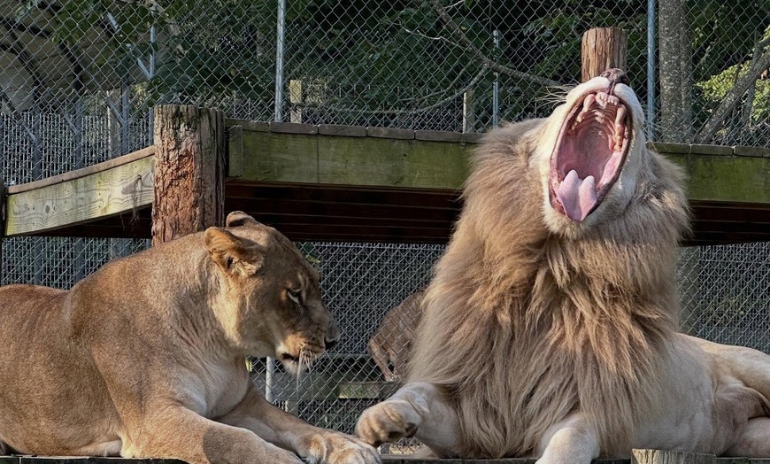 Image 3: $20 For A Zoo Admission, Wild Adventure Mini-Golf & Parakeet Jungle...