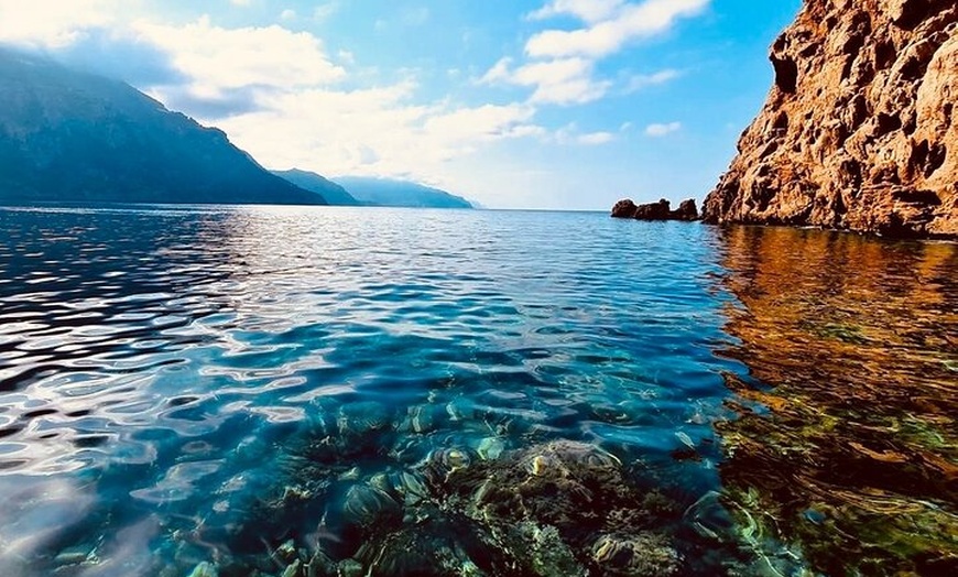 Image 5: Tour privado en barco con patrón