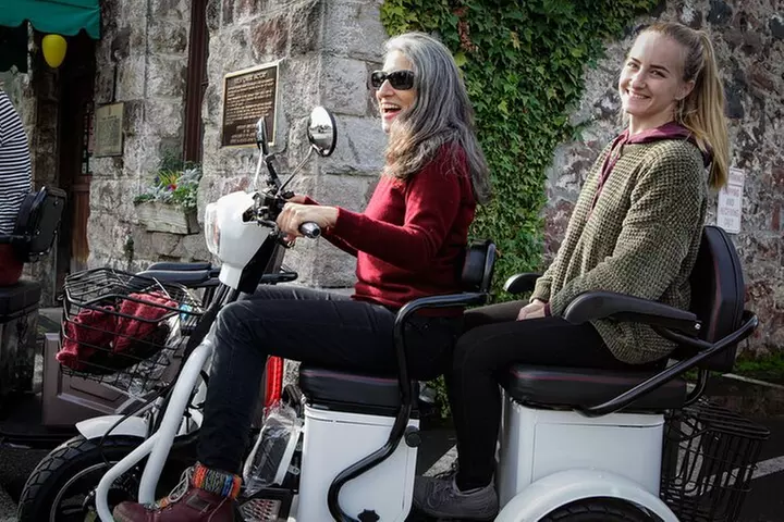 Sonoma Wine Country Electric Trike Tour - 3 hours