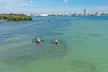 Clear Kayak Tour of Clearwater Beach - Second Medium