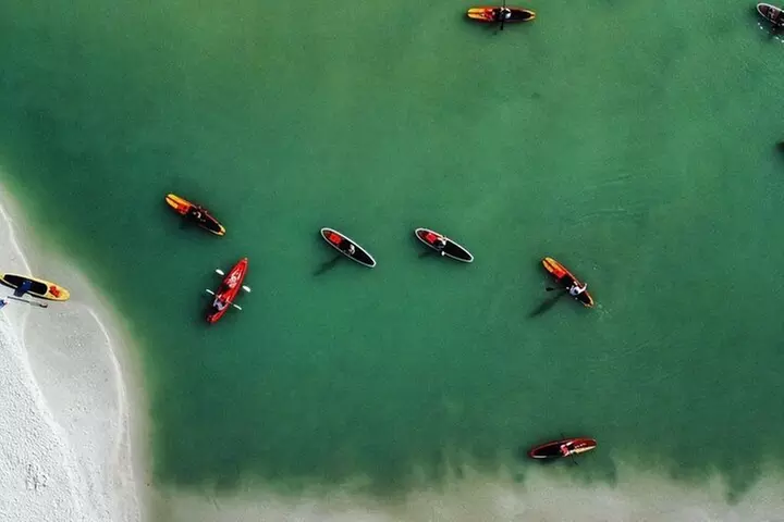Dolphin and Manatee Adventure Tour of Fort Myers